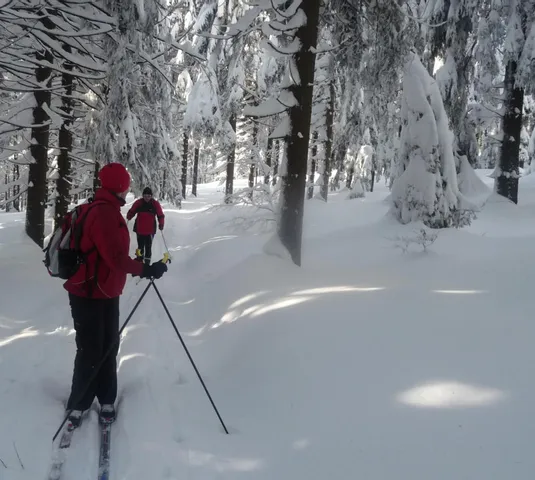 Jak to u nás vypadá, jak se u nás žije… – Kariéra
