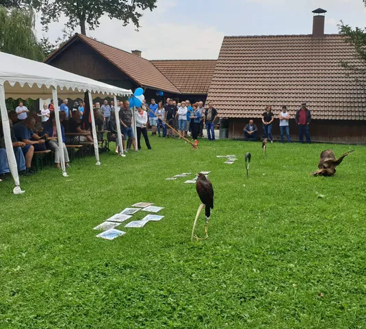 Jak to u nás vypadá, jak se u nás žije… – Kariéra